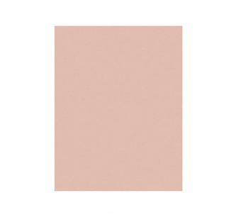 5MIC 3M261X SHEET 8.5X11