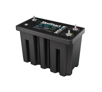 SKELSTART 24V Image.