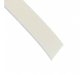 2010/10 100SF Image.