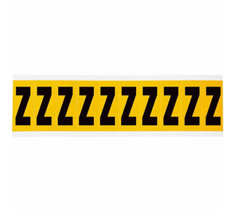 1534-Z Image.