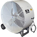VKM36